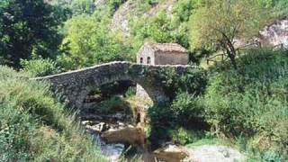 Darko Rundek &amp; Cargo Orkestar ¡Ay Carmela!