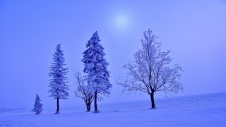 Swallow The Sun - Plague of Butterflies Part 3: Evael 10:00 (Lyrics)