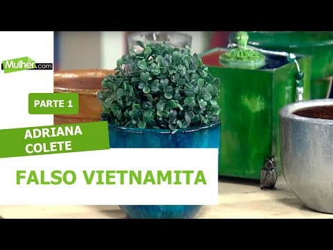 Falso Vietnamita - Adriana Colete - 22/02/2019 P1