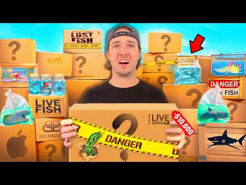 I Bought Every Exotic Fish Off The Web to Stock My Saltwater Pond…