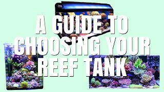 CHOOSING YOUR TANK | The Basics Of Reefing by Emma Lynne Sampson
