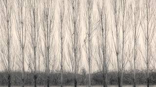 I've Told Every Little Star