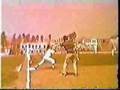 Herb Alpert & the Tijuana Brass Slick 1968 Video