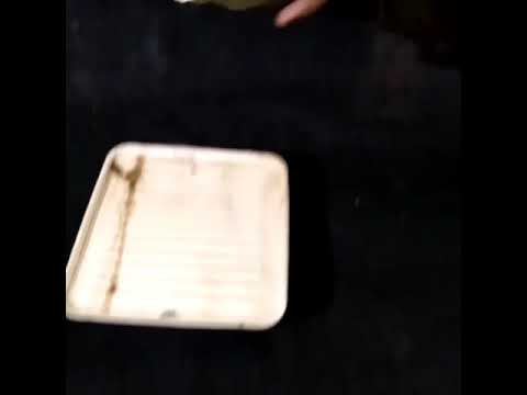 Eco Friendly Disposable Boxes