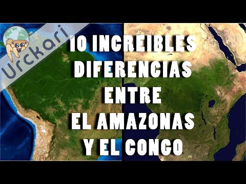 10 Increíbles Diferencias entre Las selvas del Amazonas y el Congo