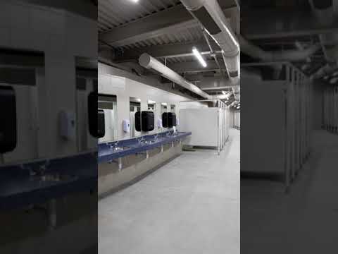 POV: you're in the bathroom during a backyardigans concert soundcheck (pt.1)