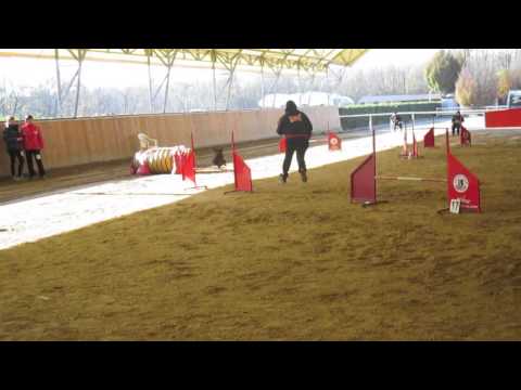 Bree, jumping 22/11/2014 Busto