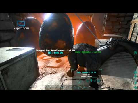 ARK: Survival Evolved Incubating, Hatching and eating Fertilized Dimorphodon Eggs