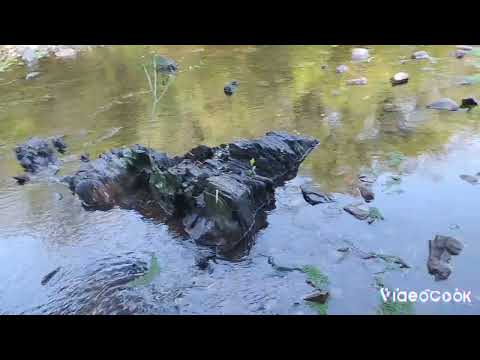 Momentos... en Los Molles de Aigua sábado 11 de marzo 2023