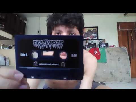 Harsh Supplement split Agathocles