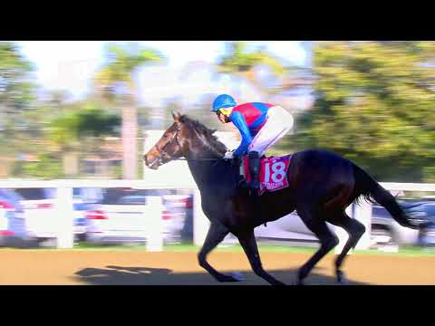 Kommetdieding wins Vodacom Durban July