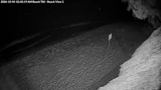 Florida · Key West · Fort Zachary Taylor Beach live stream