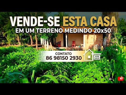 VENDE SE ESTE ÓTIMO MINE SÍTIO TERRENO COM CASA NO POVOADO BAIXINHA ESPERANTINA PIAUÍ