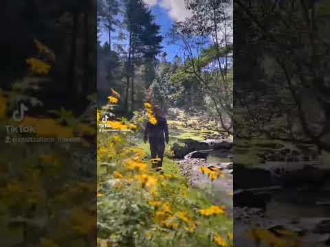 Río blanco #rioblanco #sanmarcos #guatemala