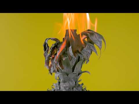 In The Lobby - The Happy Fits