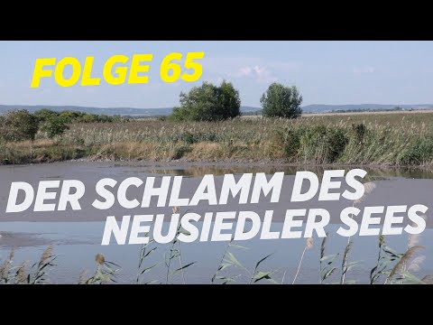 Green Screen ep. 65 | Schlammbagger im Neusiedler See