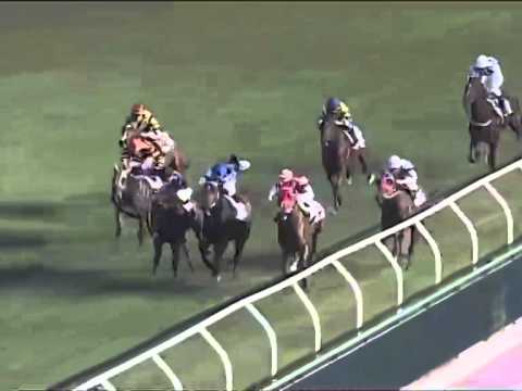 Galoppo 16/07/2014 - Corsa 2