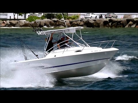 Prolines 20