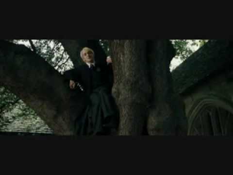 Harry Potter Trouble