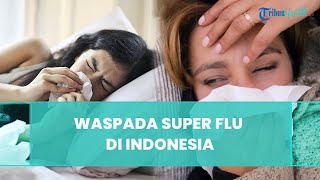 Waspada Super Flu H3N2 di Indonesia, Anak-Anak Jadi Kelompok Paling Rentan