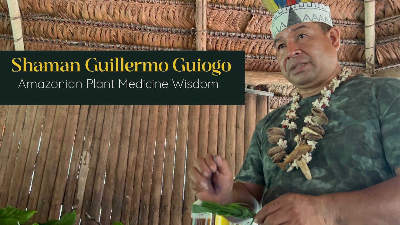 Amazonian Plant Medicine