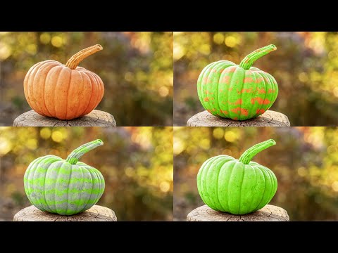Learn How To Change Color or Skin of Objects in Photos Using PhotoShop