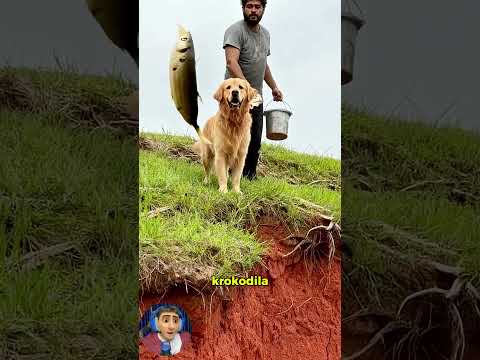 Tatlı Köpüşcük Derede Kaldı!