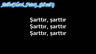 Sinan Akçıl feat. Ferah Zeydan - Şarttır Şarttır (Lyrics/Sözleri)