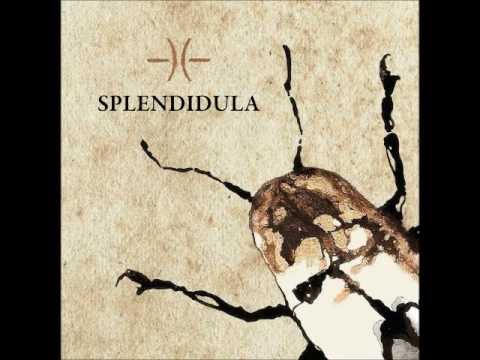 Splendidula - Waltzing