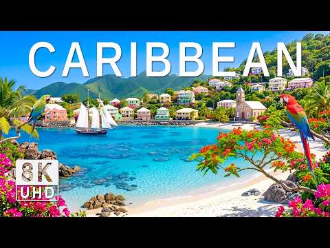 Caribbean 8K Drone Footage | Punta Cana, Palm-Lined Shores & Crystalline Tides UHD