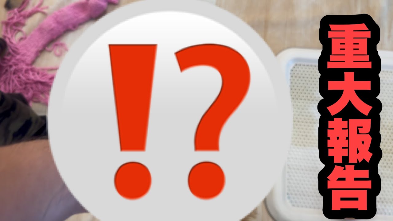 かなり迷いましたが・・・