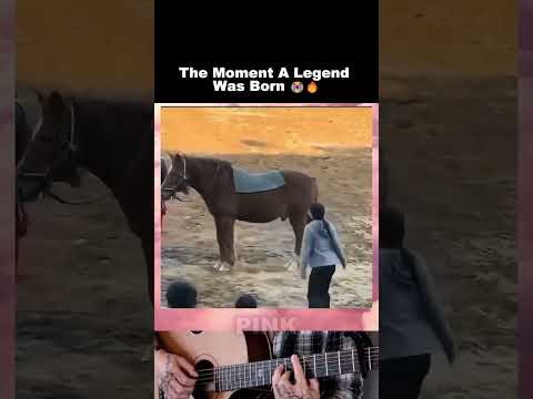 This Will Never Be Forgotten 😭 #horsetraining #legendary #viral