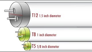 Tubelight sizes T12 T8 T5