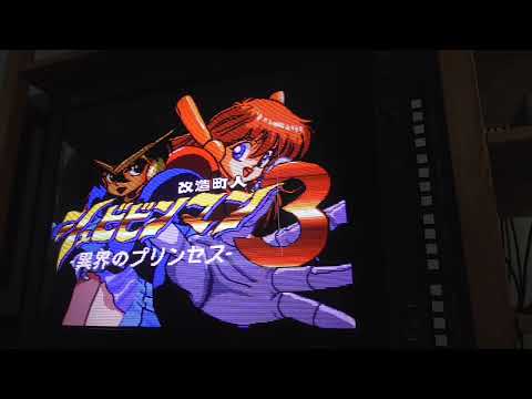 video game consoles, handhelds, old computers and video players and recorders