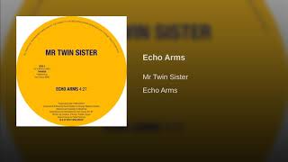 Echo Arms