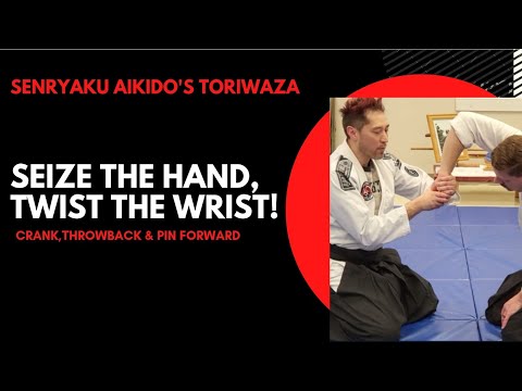 Senryaku Aikido's Suwari Toriwaza Sankyo(Seated Seizing Wrist twist)3rd control. Seize the hand...
