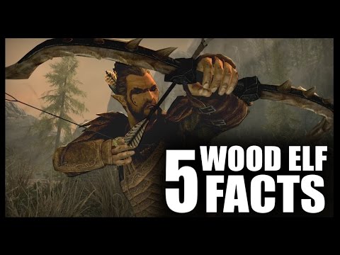 Skyrim - 5 Wood Elf Facts - Elder Scrolls Lore