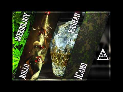 TANTA ROOR-CAMOR-FEDE RASHAN-ROLLO-WEEDOLOGY