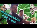 ASI ES UNA MUDANZA EN NEZA|FT. Louis Moor & Retromania|TORITO BLOGS ASI ES UNA MUDANZA EN NEZA|FT. Louis Moor & Retromania|TORITO BLOGS