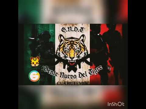 El Corrido Del 11 G.N.D.T Corridos 2023