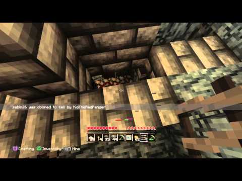 Minecraft Elevator Incident