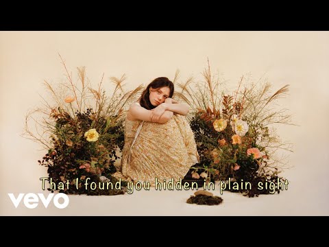 Video thumbnail for In Plain Sight