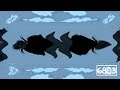 RQ Let S Sing Again Effects Inspired By Gamavision Csupo Effects In H Major 200