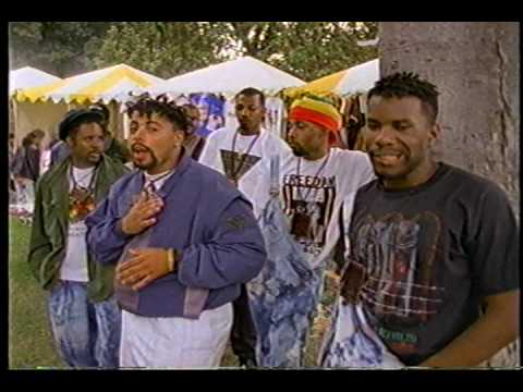 Suns of James Brown DVD The Golden Era of Hip Hop