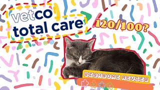 Back to Hospital Check-Up: How is Vetco Clinic