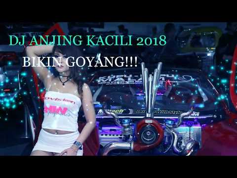 download lagu mp3 mp4 Lagu Dj Anjing Kacili Vs Potong Bebek Jomblo, download lagu Lagu Dj Anjing Kacili Vs Potong Bebek Jomblo gratis, unduh video klip Lagu Dj Anjing Kacili Vs Potong Bebek Jomblo