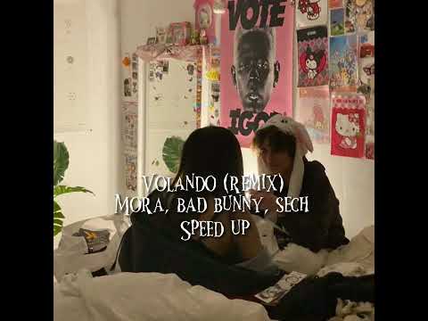 Volando remix (speed up)