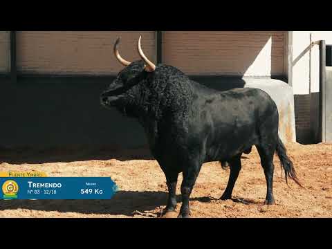 SORTEO | Toros de Fuente Ymbro, 11 mayo