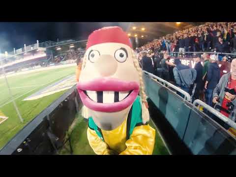 Sfeerreportage KVO - Zulte Waregem | KustboysTV