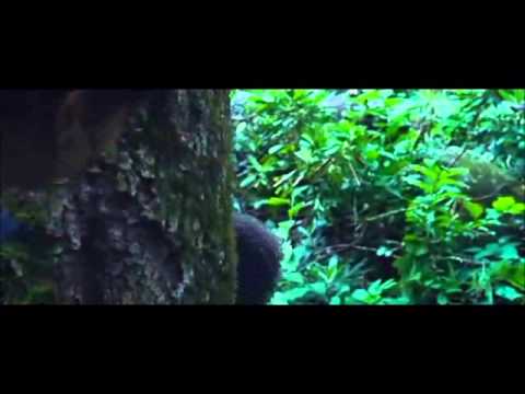 Adriana Figueroa-Rue's Lullaby (Hunger Games Fan Arrangement)